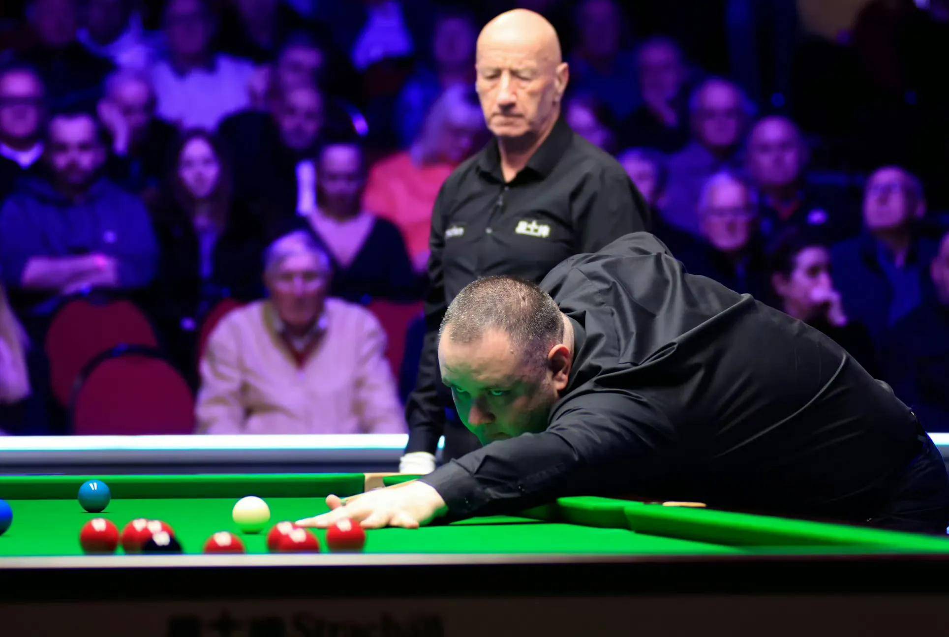 银杏作为环 银杏作为环