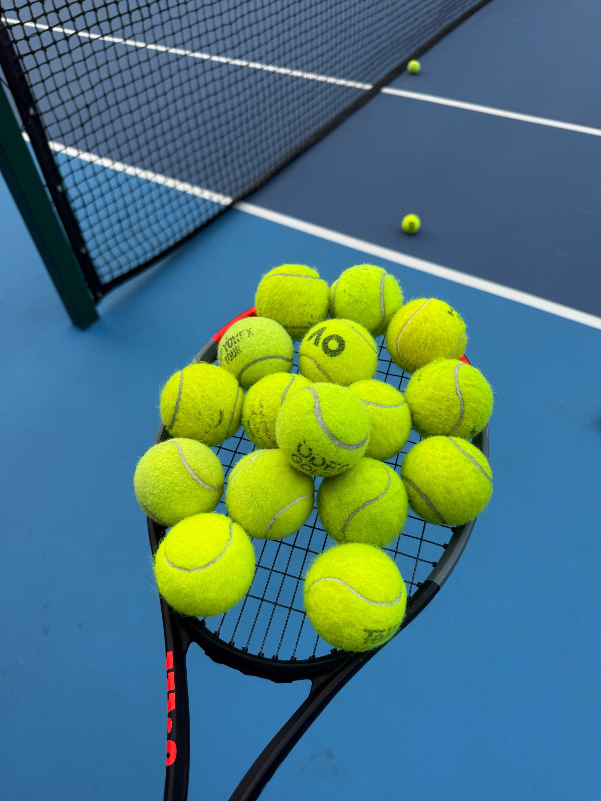 执教并引入 执教并引入