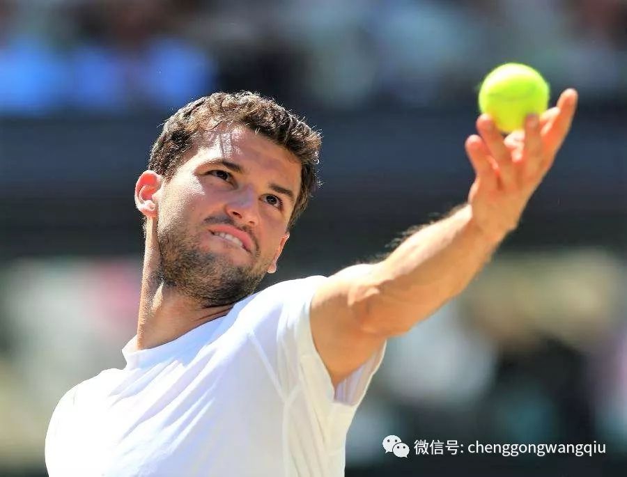 德甲及意甲 德甲及意甲