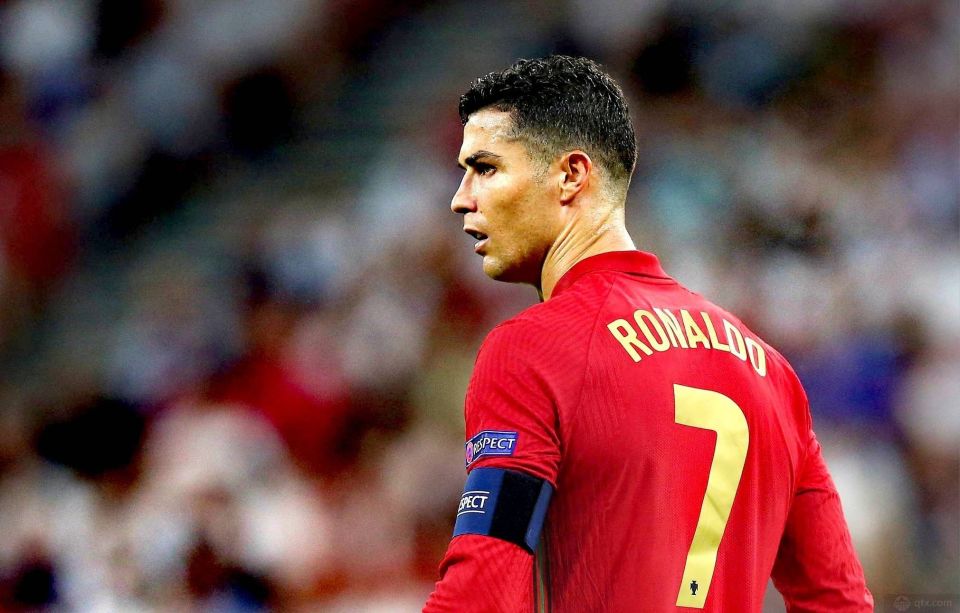 擎中的排名 擎中的排名