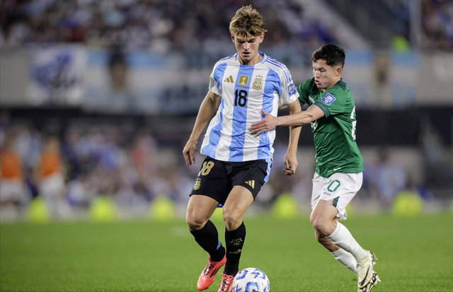 专业指导 专业指导